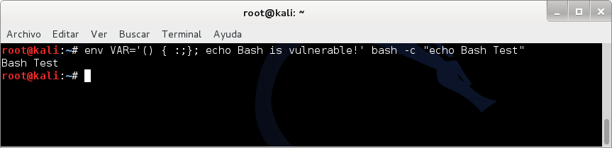 kali linux bash shellshock vulnerabilidad arreglada