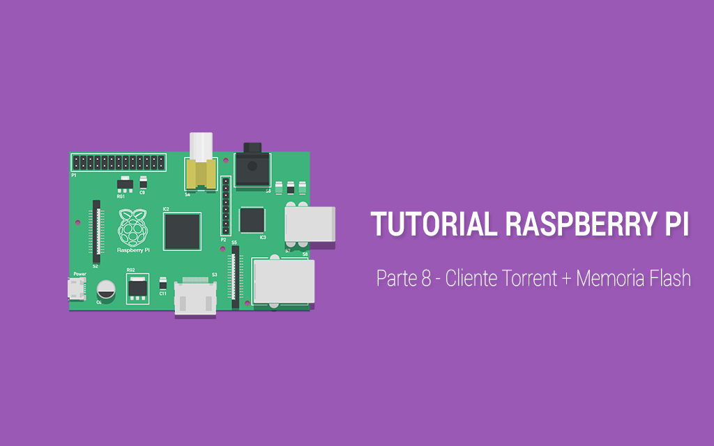 Tutorial Raspberry Pi – 8. Cliente Torrent + Memoria Flash